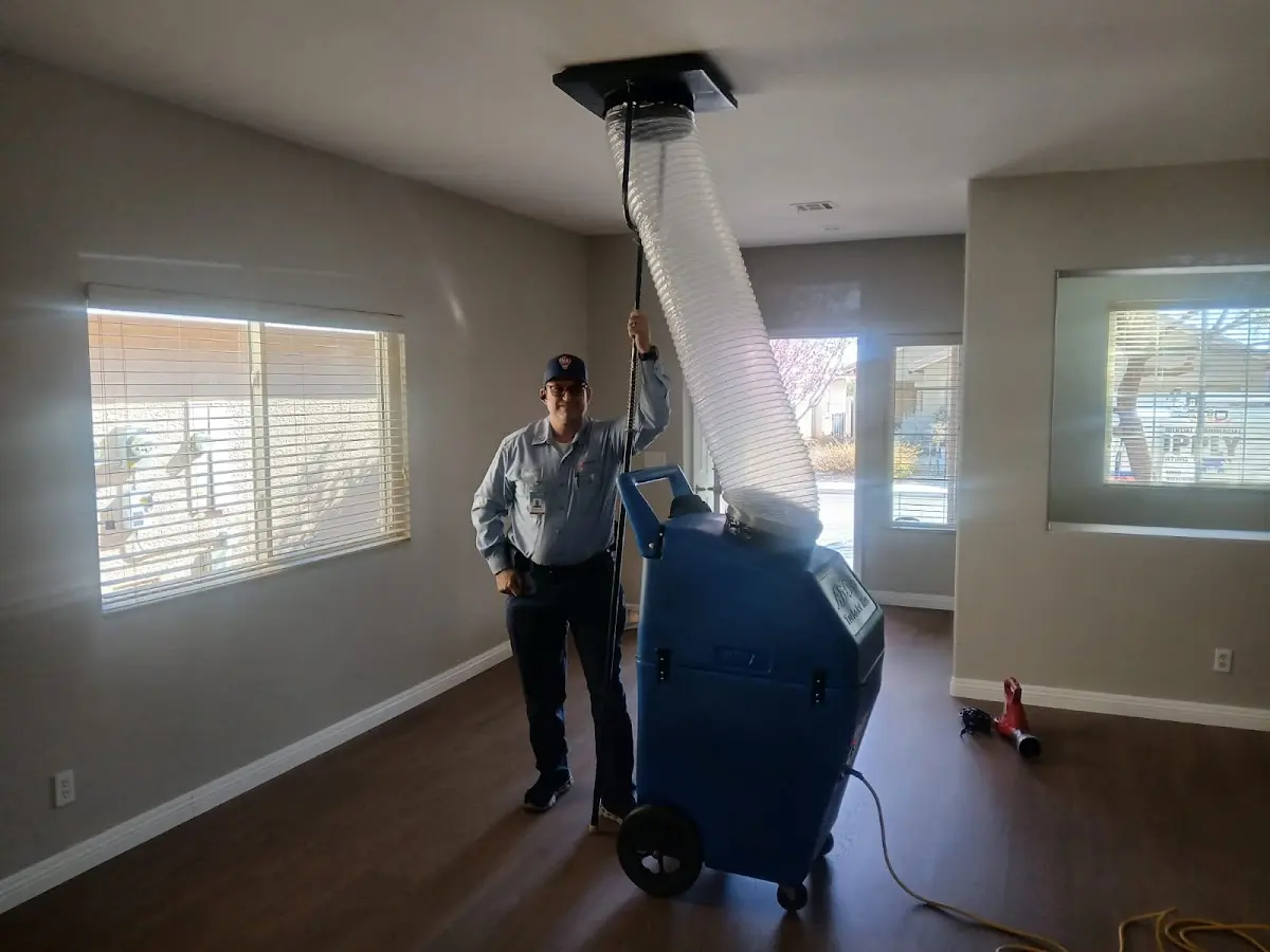Professional Dryer Vent Cleaning work inside a Pasco home